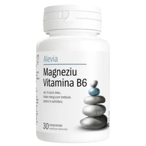 MAGNE VIT B6 30CPR (171)