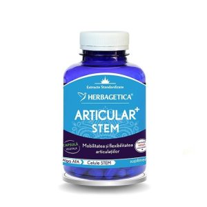 ARTICULAR + STEM 120CPS