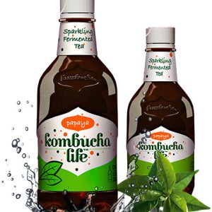 BAUTURA KOMBUCHA LIFE PAPAYA 500ML