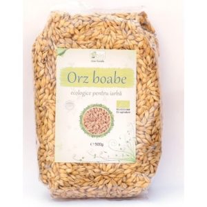 ORZ DECORTICAT BIO 500G
