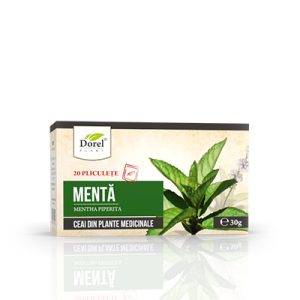 CEAI DE MENTA 20DZX1.5GR
