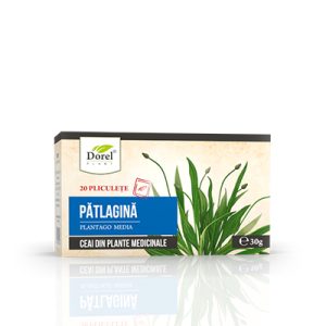 CEAI DE PATLAGINA 20DZX1.5GR