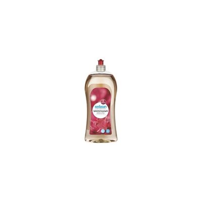 DETERGENT VASE LICHID BIO RODIE 1L