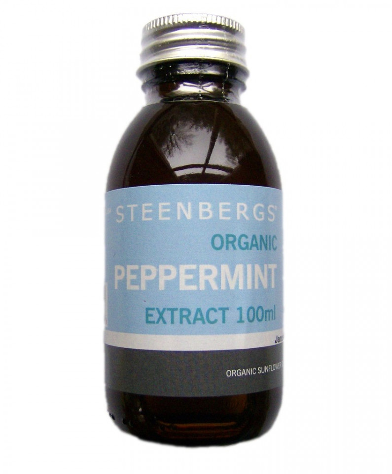 ESENTA DE MENTA BIO 100ML