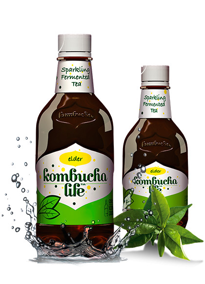 BAUTURA KOMBUCHA LIFE SOC 500ML