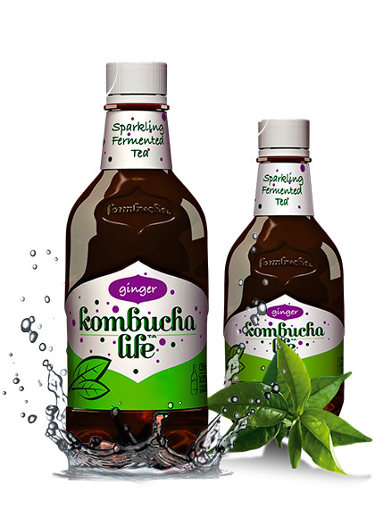 BAUTURA KOMBUCHA LIFE GHIMBIR 500ML