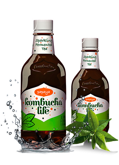 BAUTURA KOMBUCHA LIFE PAPAYA 500ML