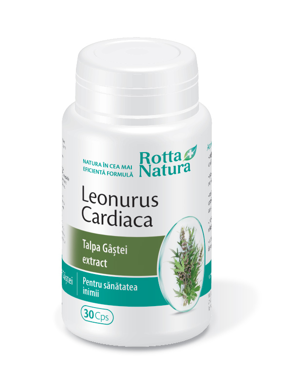 LEONORUS EXTRACT (TALPA GASTII) 30CPS