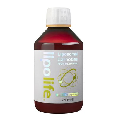 MSM PULBERE 250G