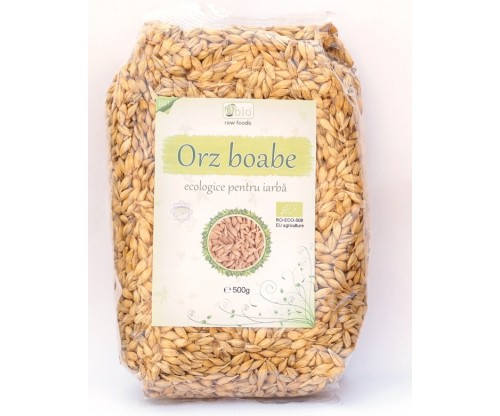 ORZ DECORTICAT BIO 500G