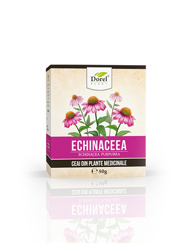 CEAI DE ECHINACEEA 50GR