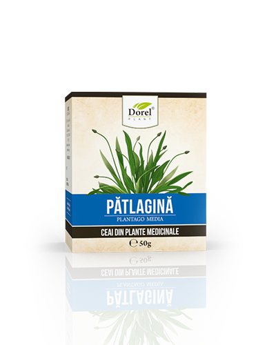 CEAI DE PATLAGINA 50GR